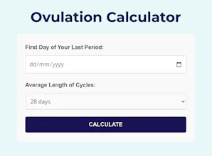 taxcalculatorsuk.co.uk gallery image