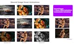 Second Image Hover Animations image
