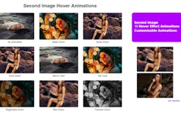 Second Image Hover Animations media 1