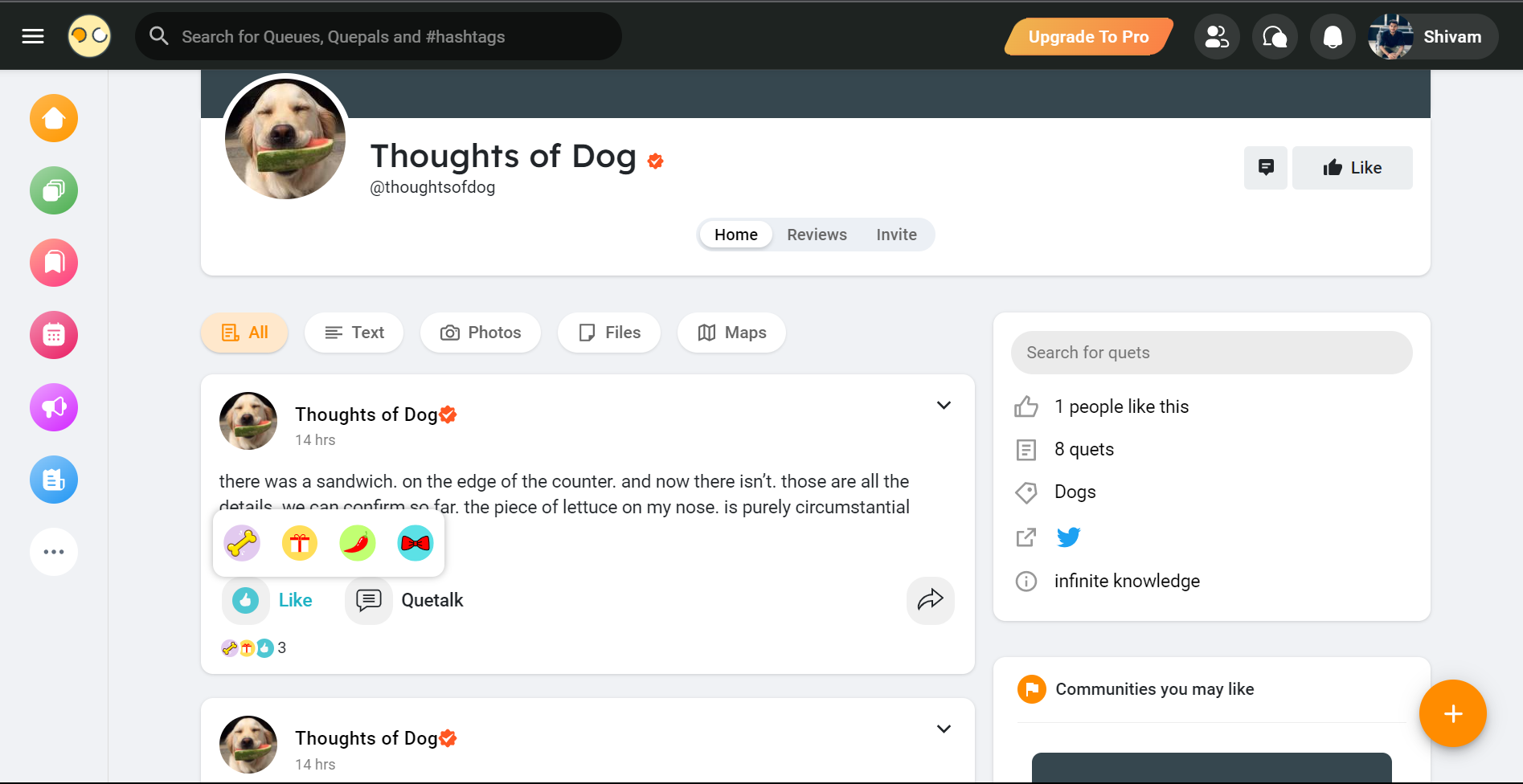 Que.Pet - สังคม Pawsitively media 2