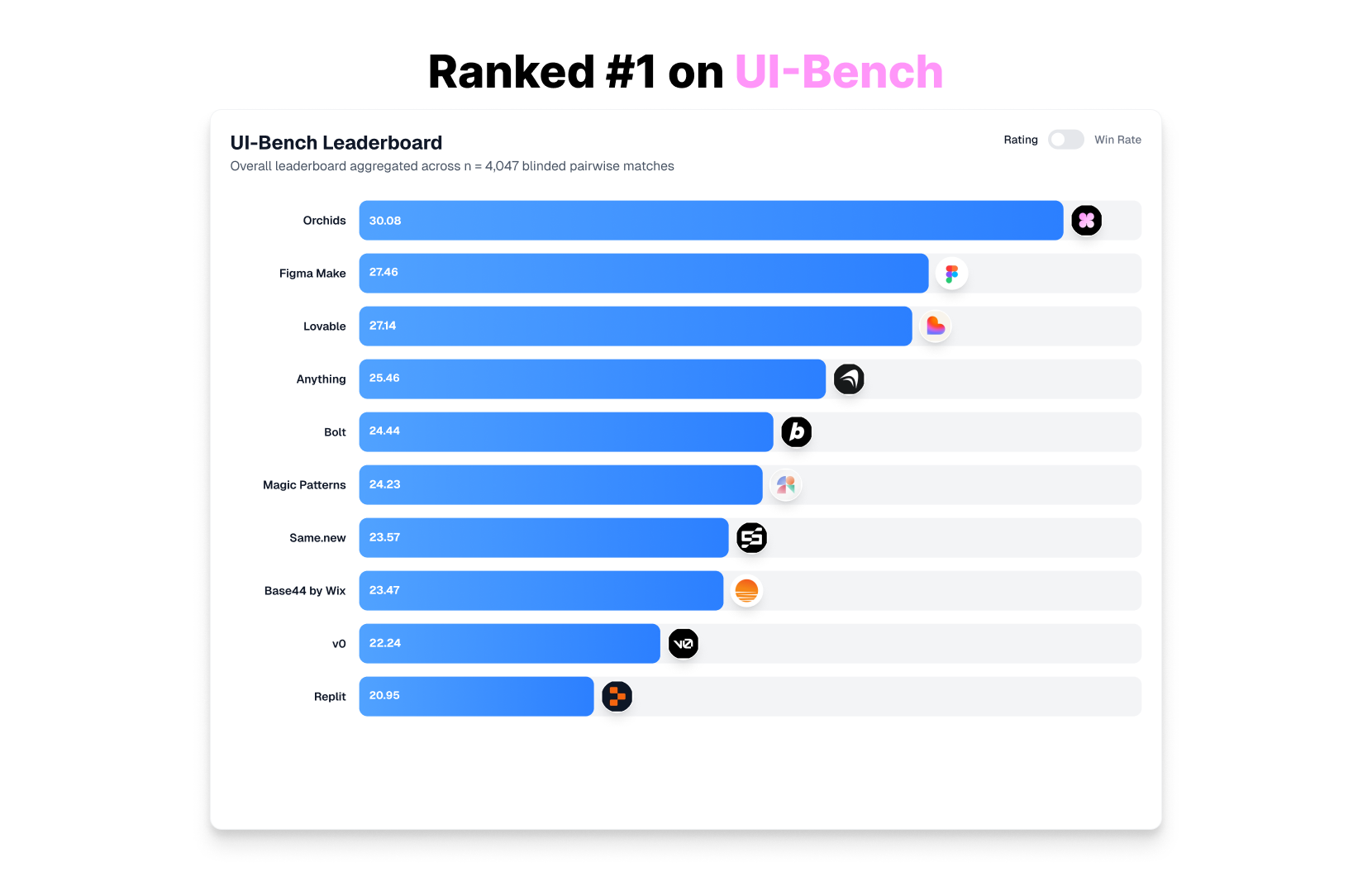 Orchids gallery image