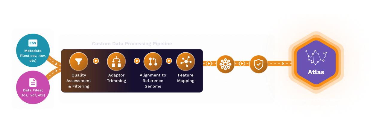 Elucidata gallery image
