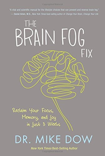The Brain Fog Fix