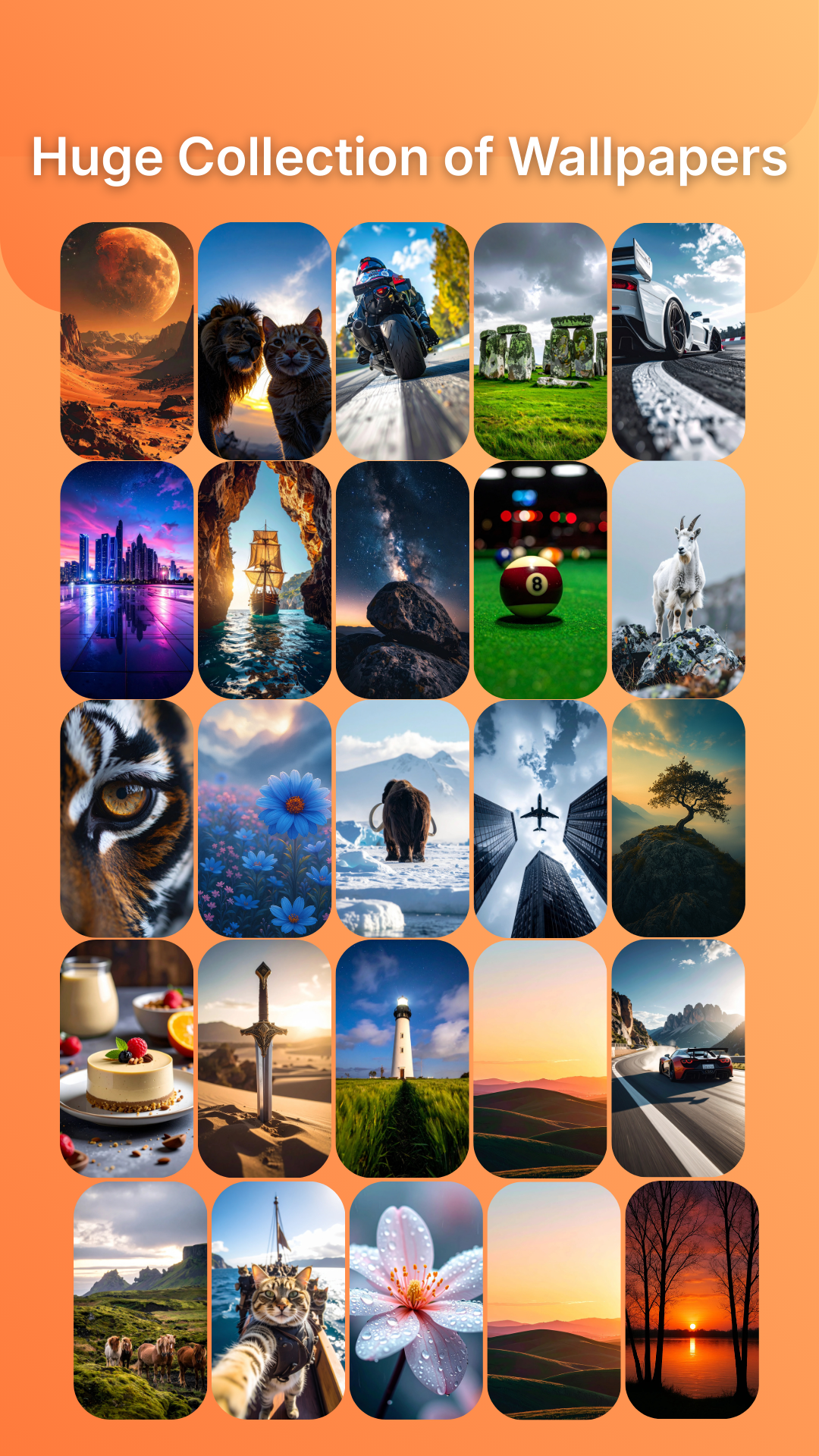 Artistic Walls gallery image