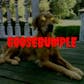 Goosebumple