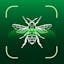 Insect Identifier: Bug Finder