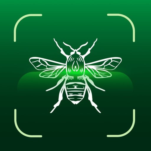 Insect -identificatie: bugvinder