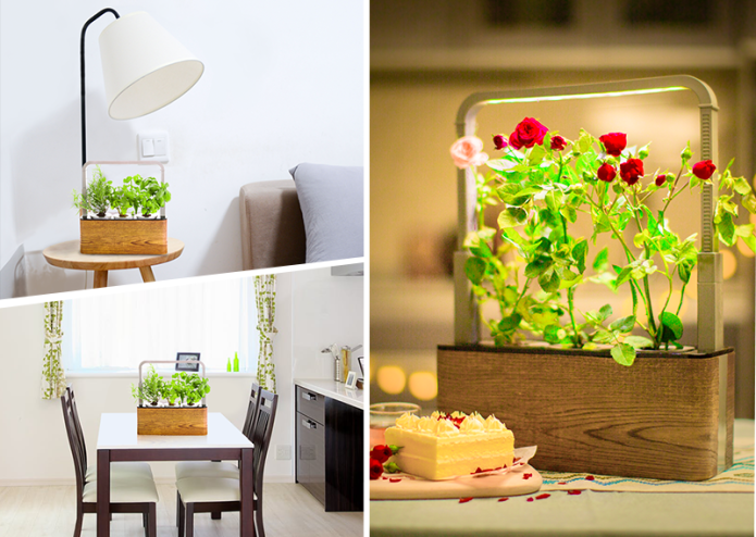 Nature Box gallery image