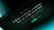 Vercel Bulk Manager