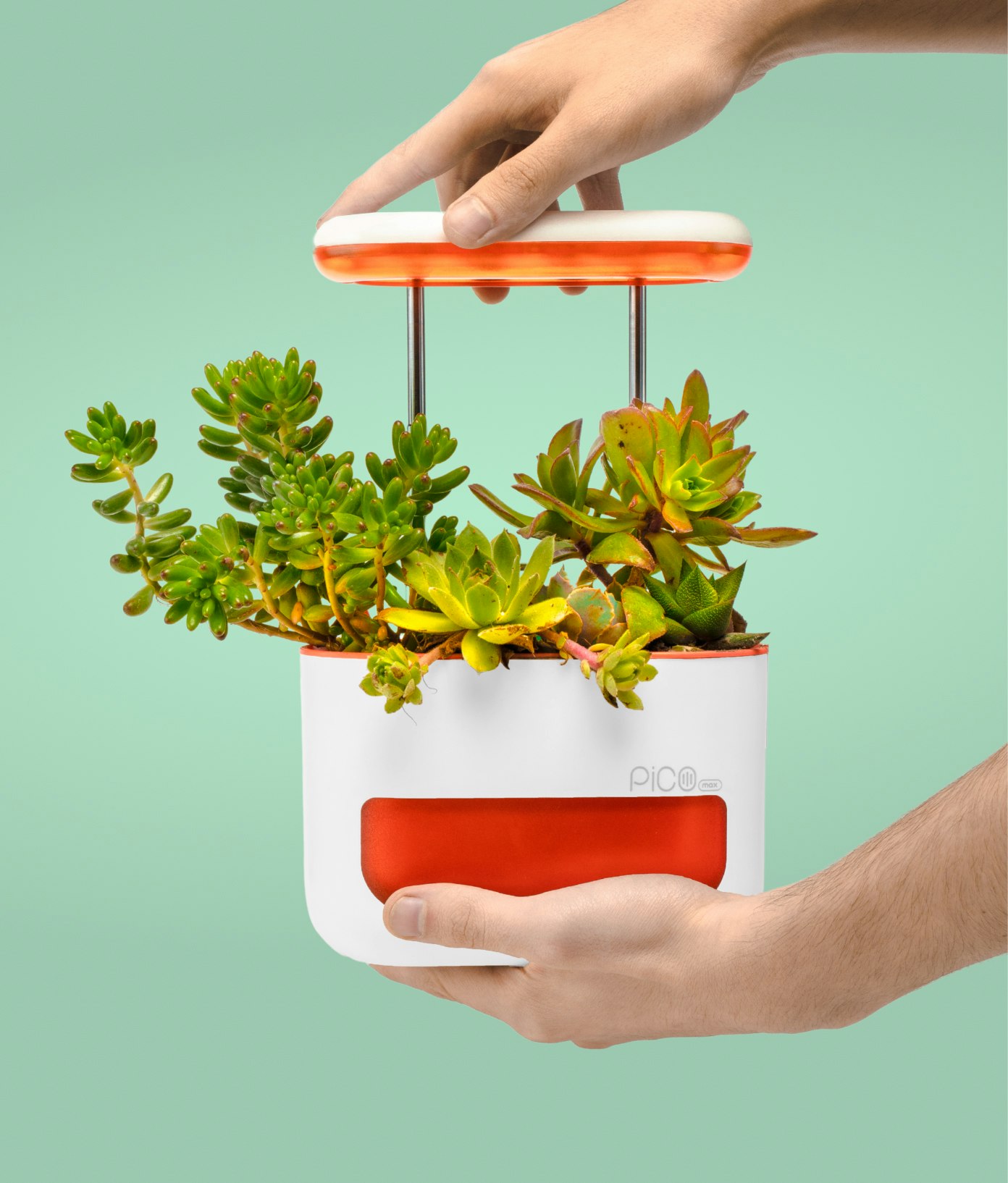 Pico Max gallery image