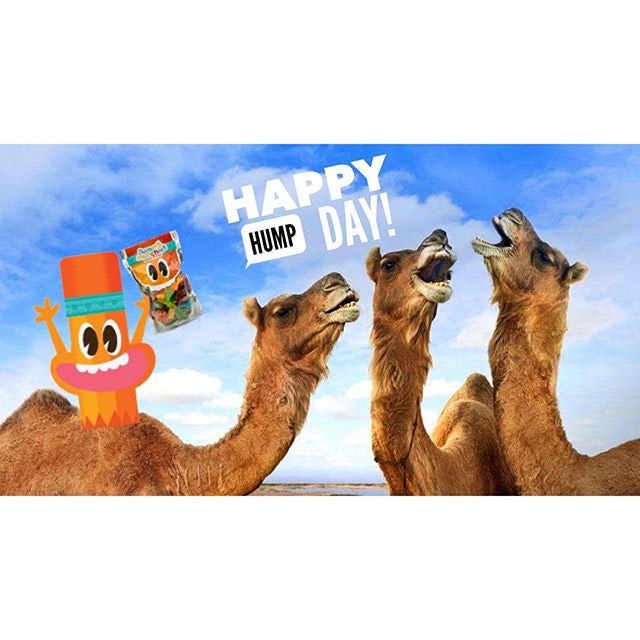 Gummy Munchies gallery image