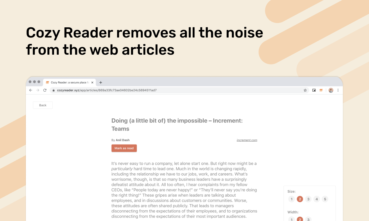 Cozy Reader gallery image