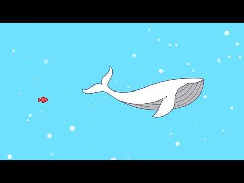 Company of One gallery image