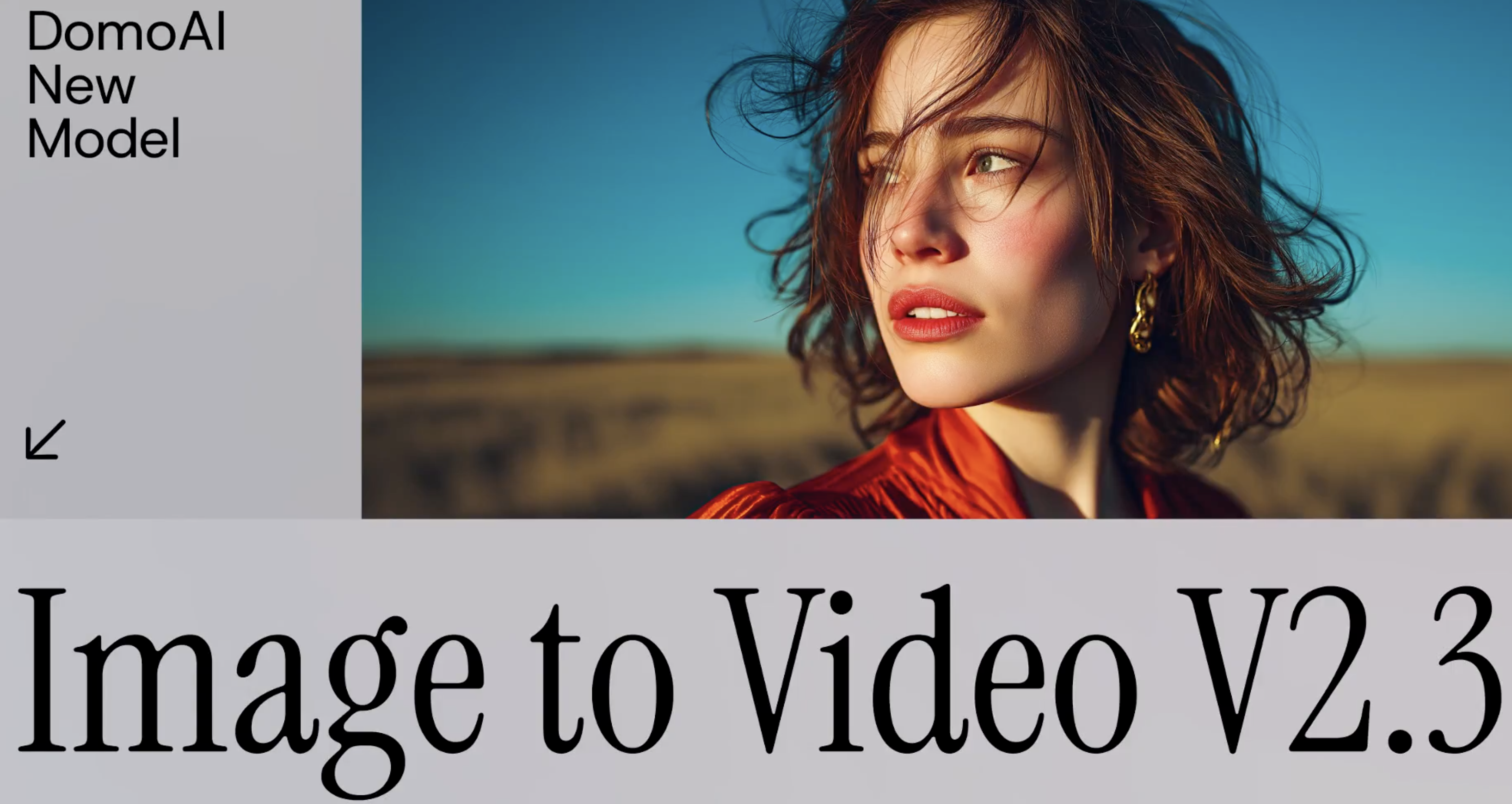 Videoya Resim V2.3 medya 2