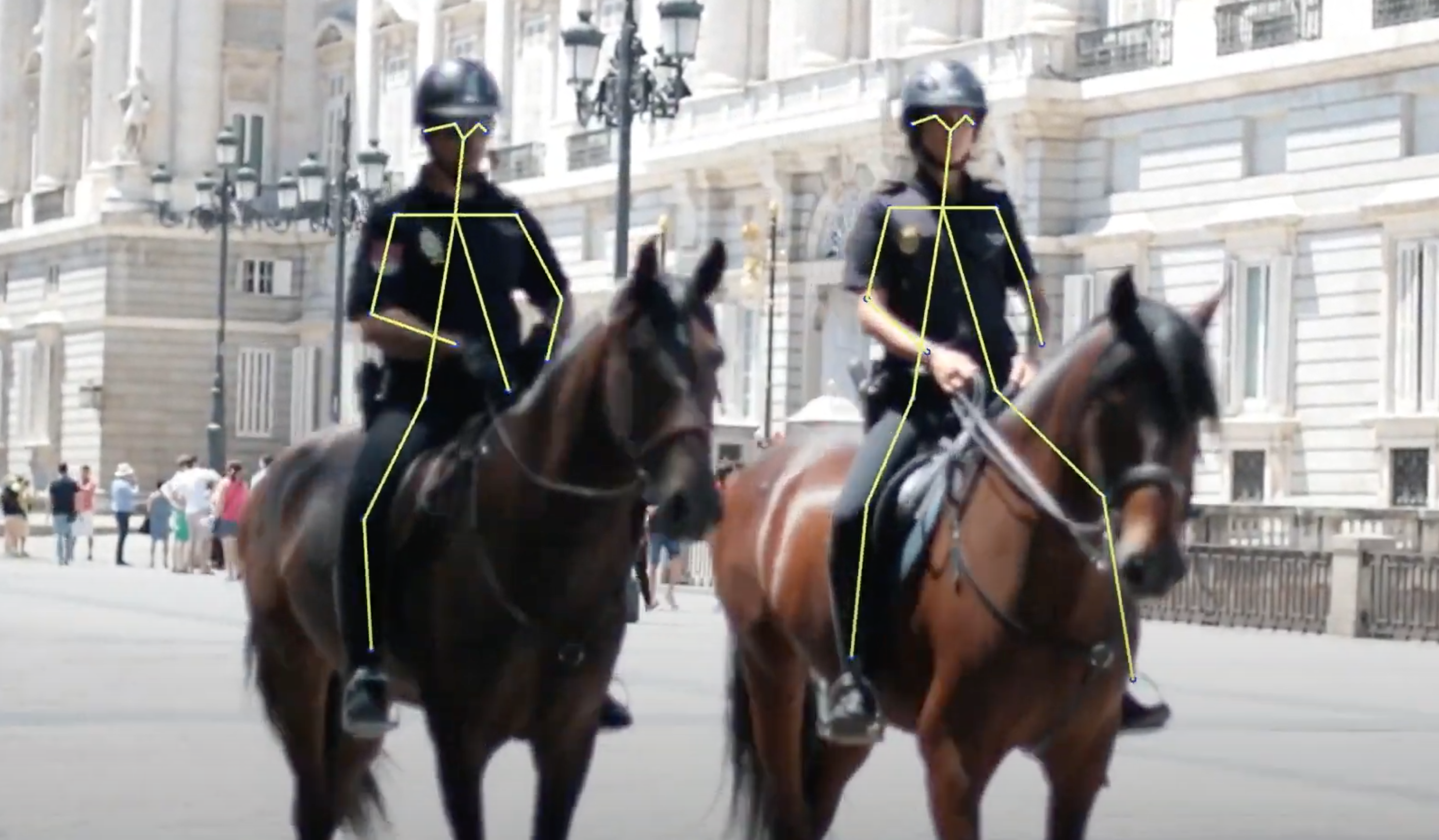 Skeleton Tracking SDK gallery image