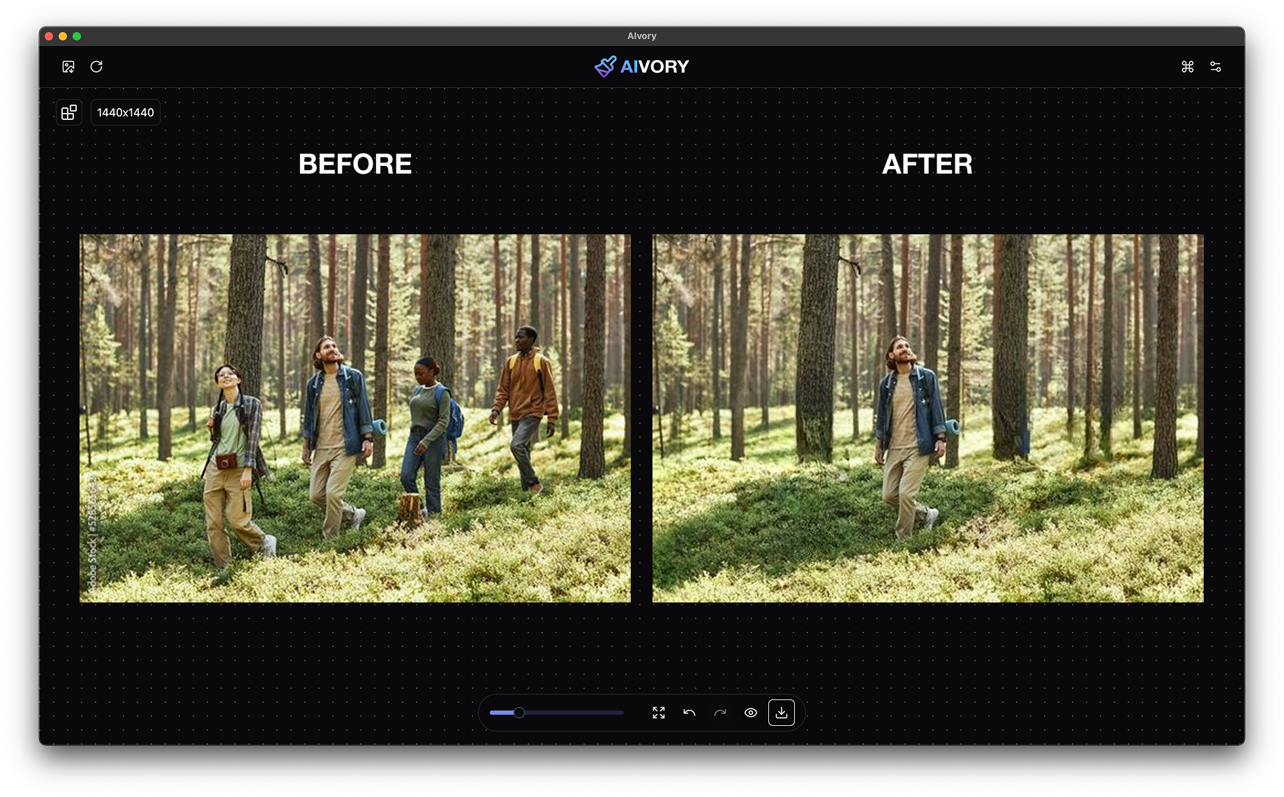 AIvory. Local AI Photo Retouch gallery image