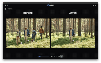 AIvory. Local AI Photo Retouch gallery image