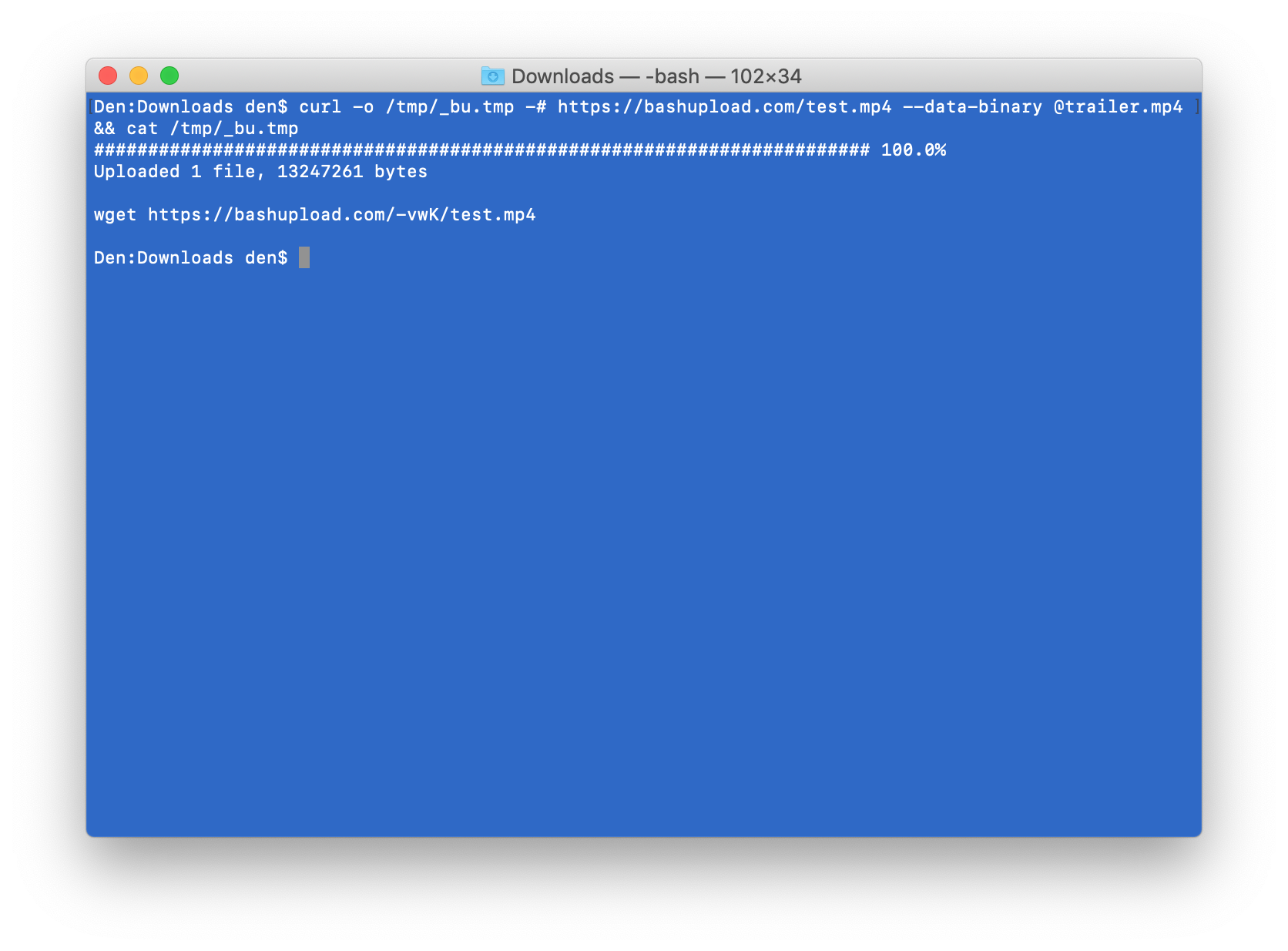 Bashupload gallery image