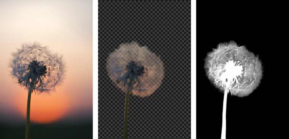 withoutBG - Screenshot 4 preview