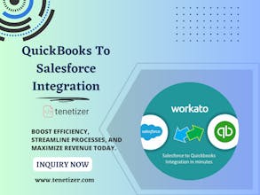 Tenetizer Salesforce Integration Product gallery image