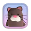Chatty Cat