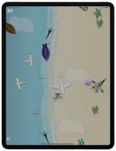 Mad Goose gallery image