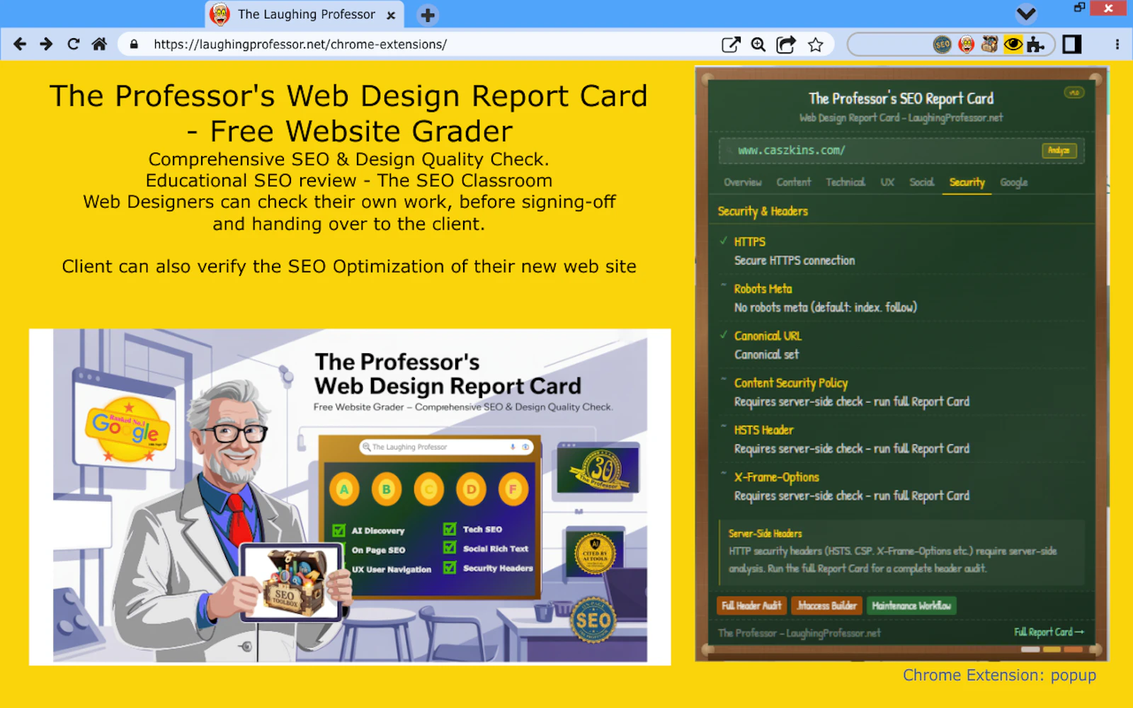 The Professor's Web Design Report Card screenshot 9