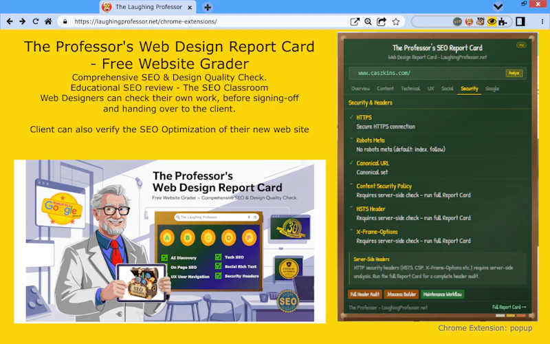 The Professor's Web Design Report Card screenshot 9