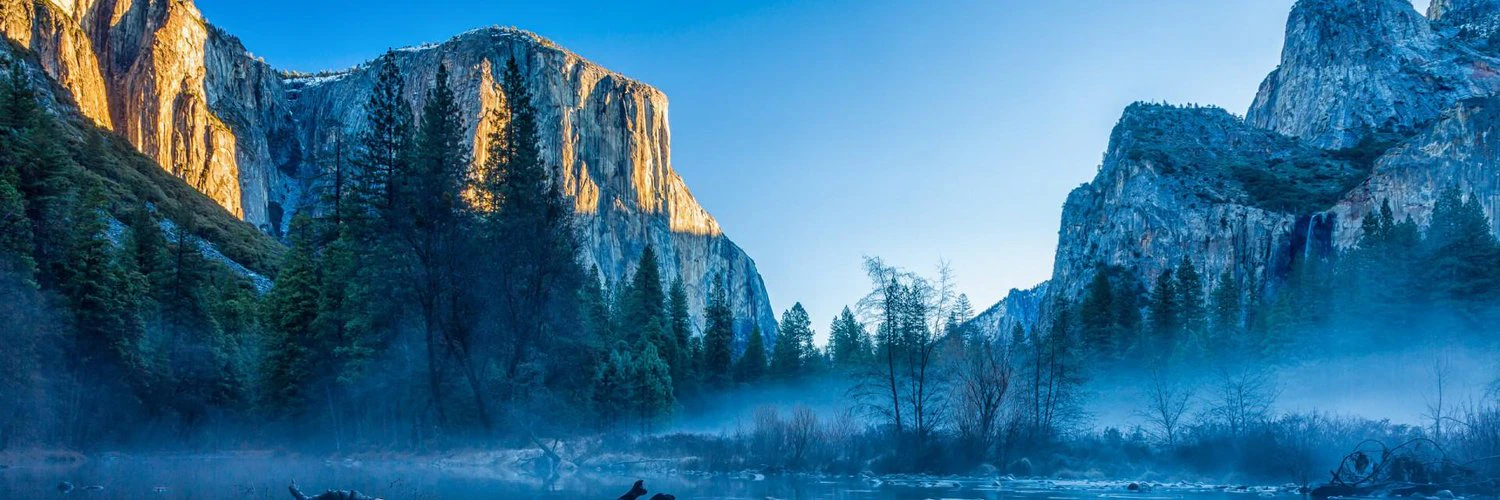 Nikola Novakovic cover