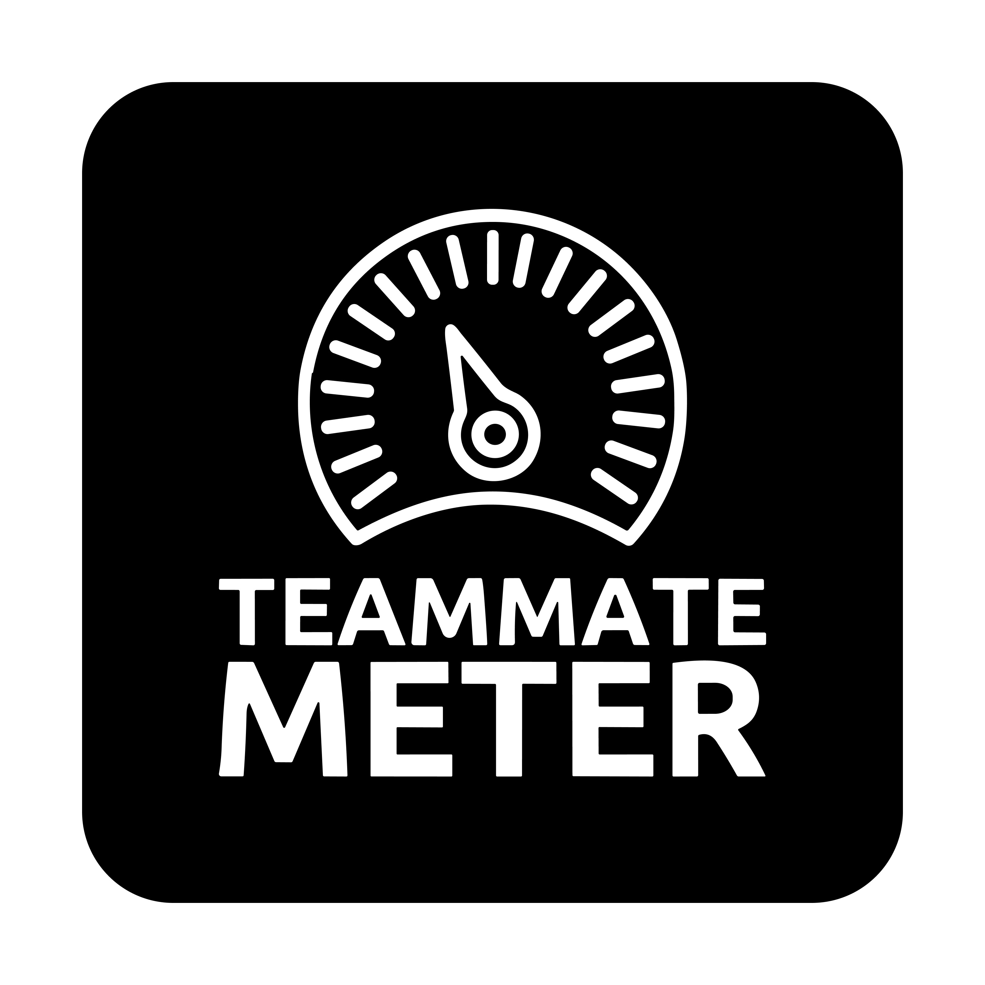 Meter rakan sepasukan