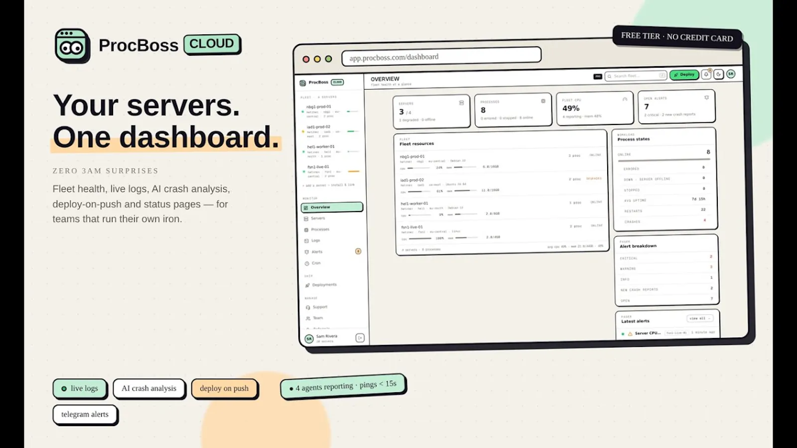 ProcBoss screenshot 1 (video preview)