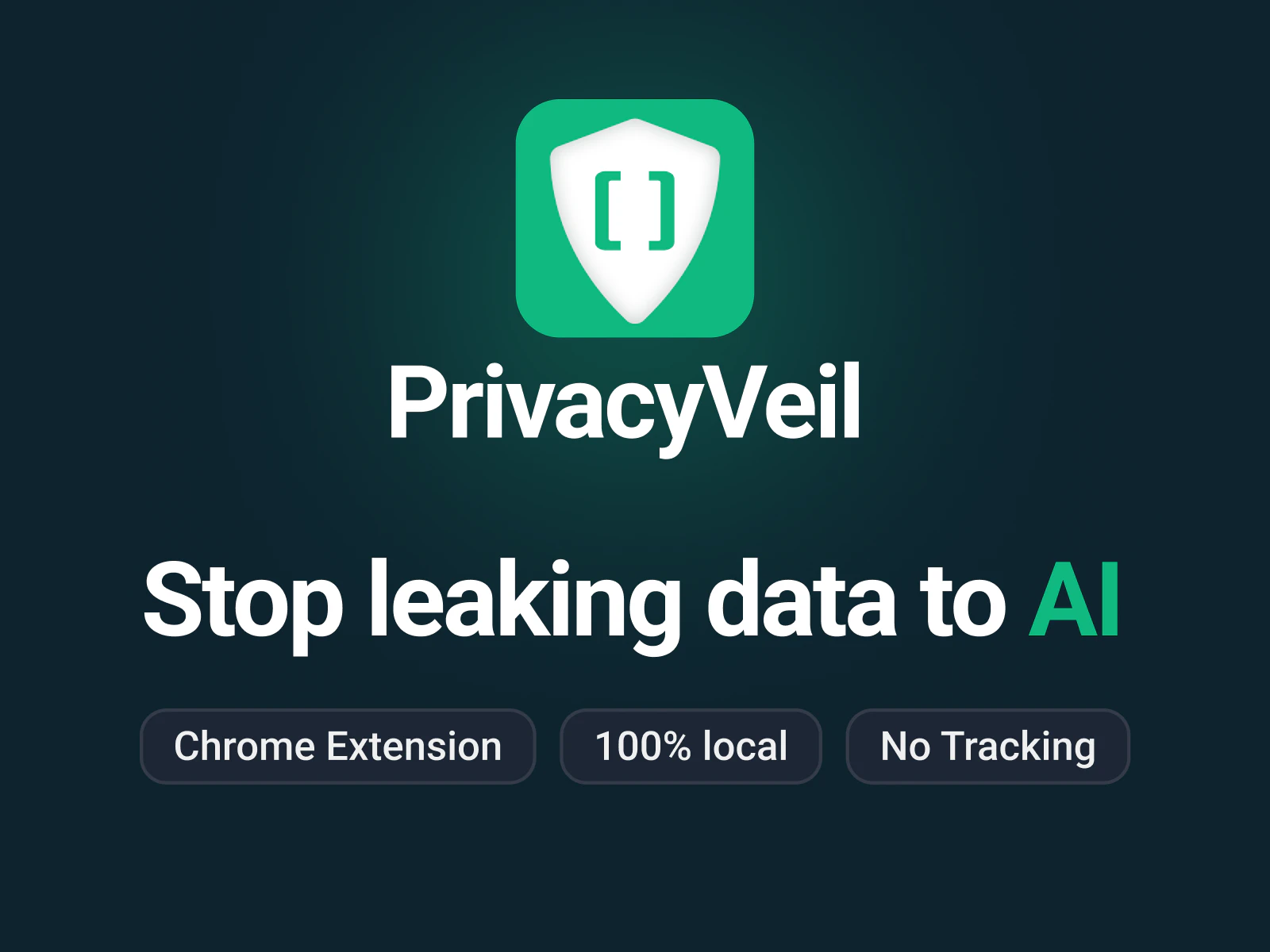 PrivacyVeil screenshot 2