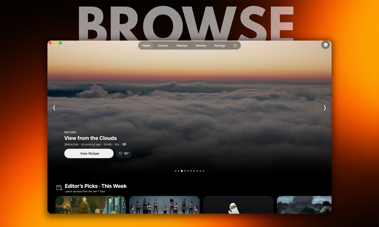 Wallper gallery image