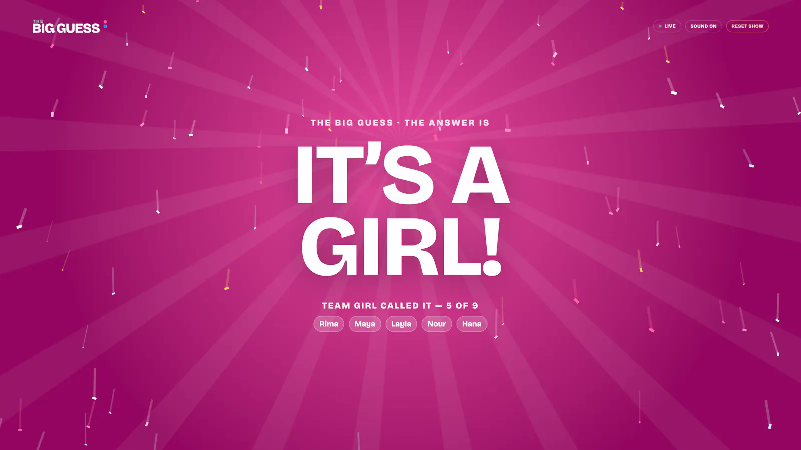 The Big Guess screenshot 4