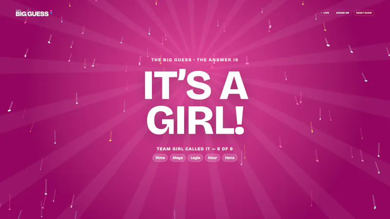 The Big Guess screenshot 4
