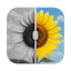 Colorize Photo