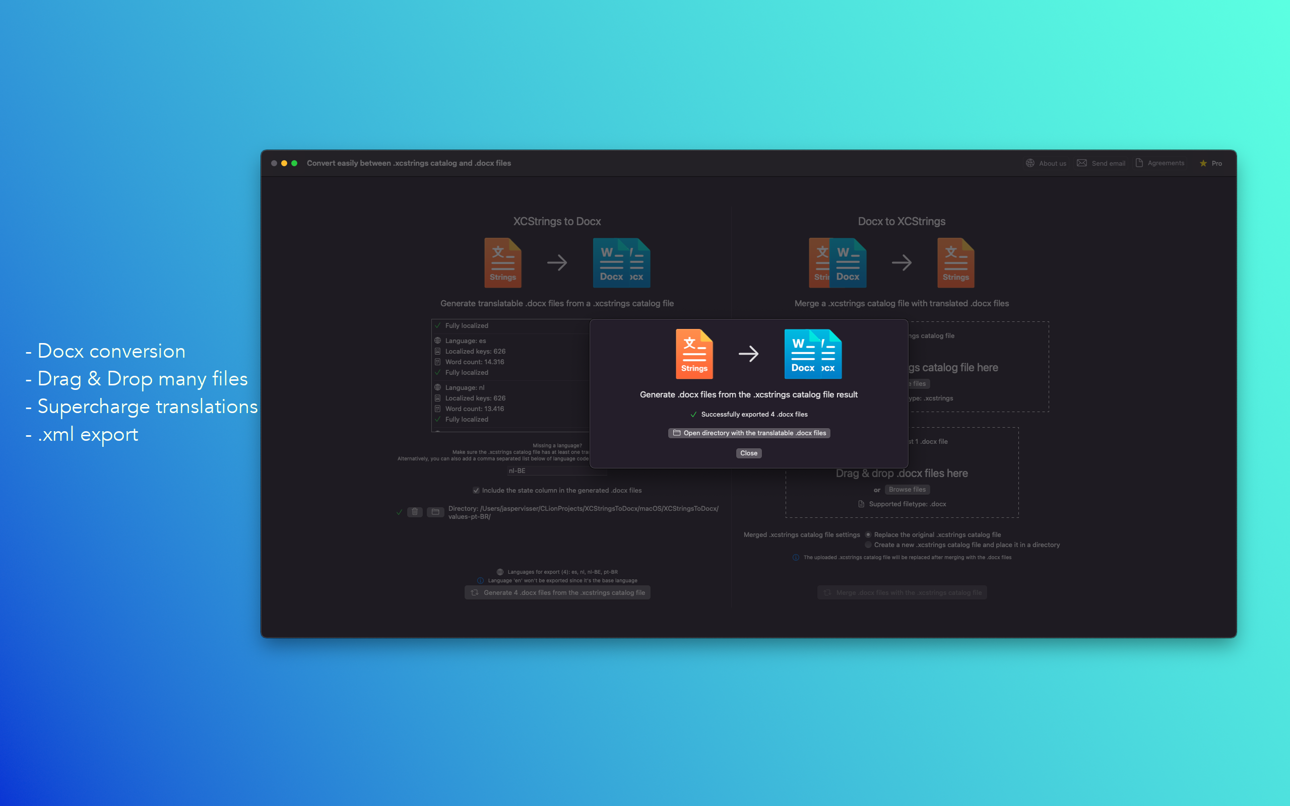 XCStrings в Docx Converter media 3