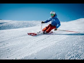 Snowfly gallery image