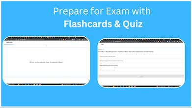 Study Helper AI gallery image