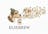 Elsebrew