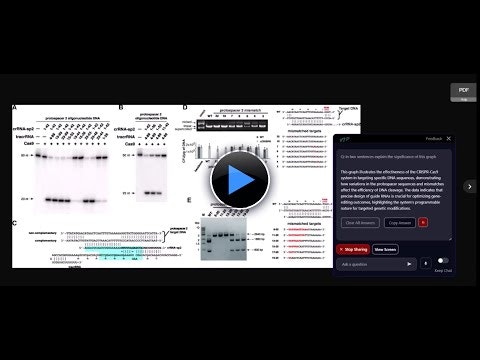 VIP - Visual Intelligence Pilot  gallery image