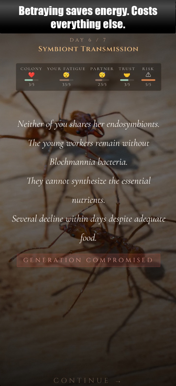 ANTagony – The Ant Prisoner's Dilemma gallery image