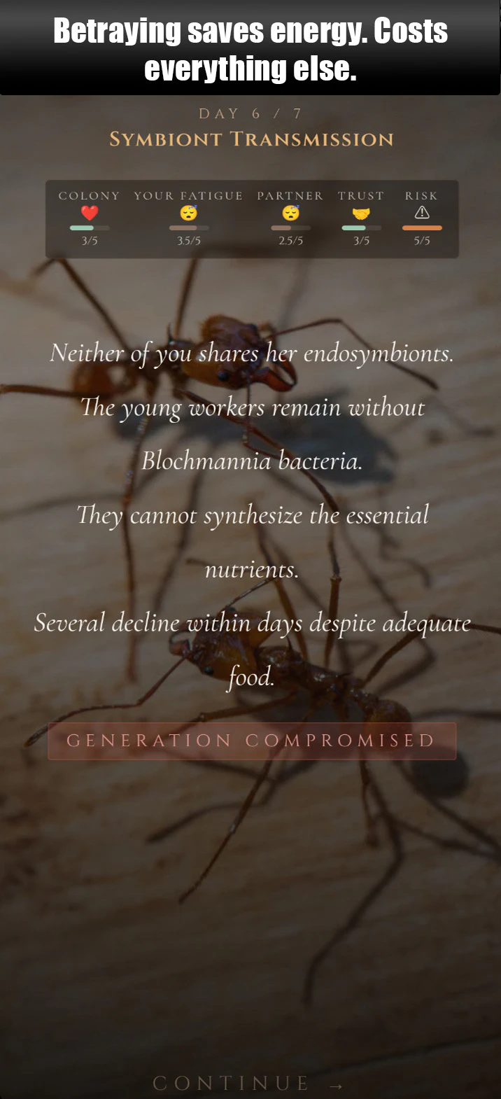 ANTagony – The Ant Prisoner's Dilemma screenshot 3