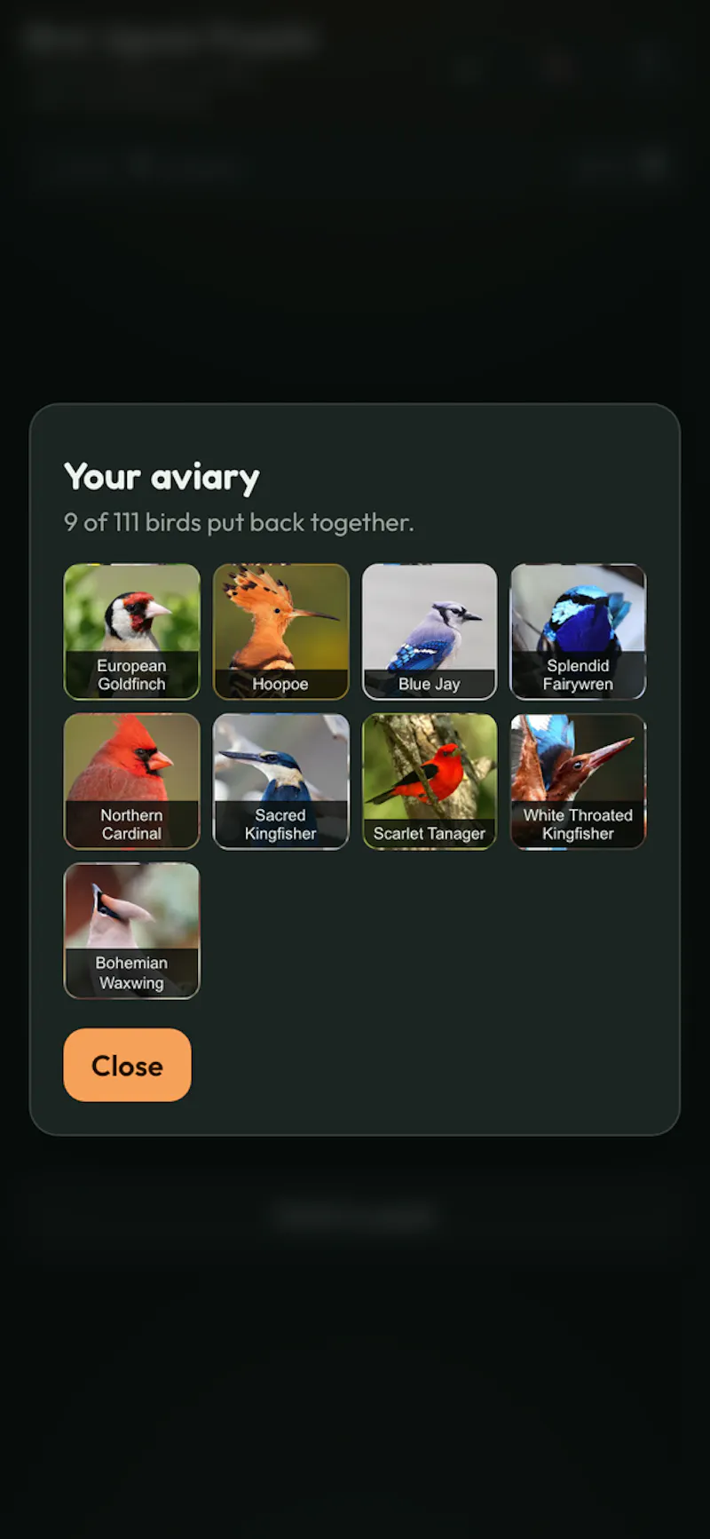 Endless Bird Jigsaw Puzzle screenshot 4