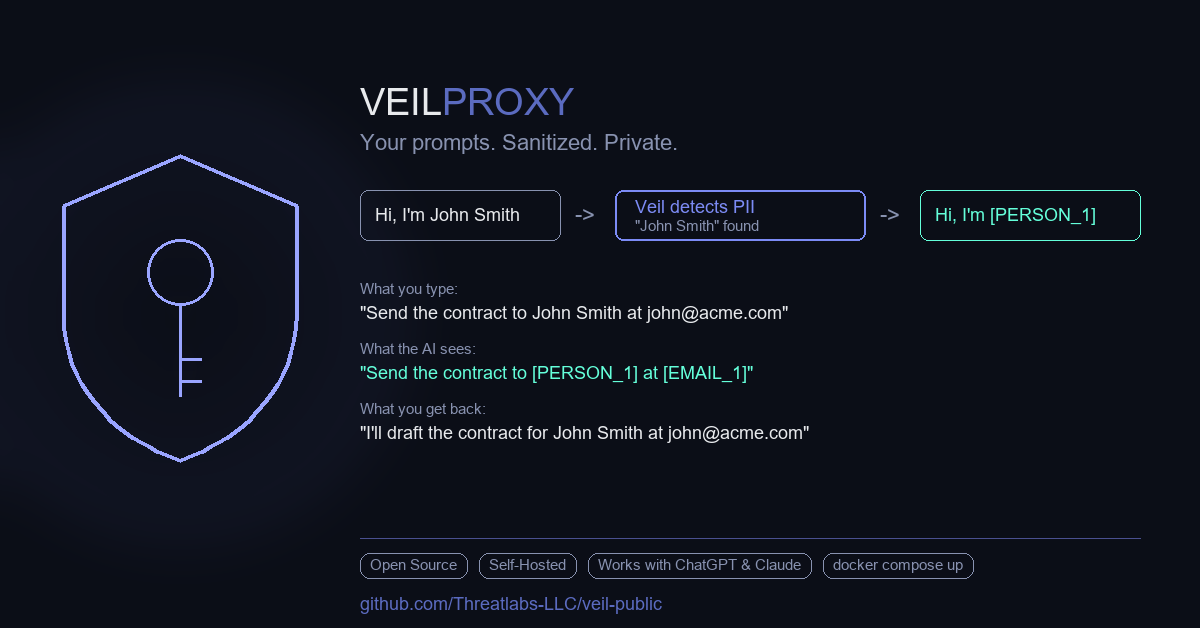 VeilProxy media 2