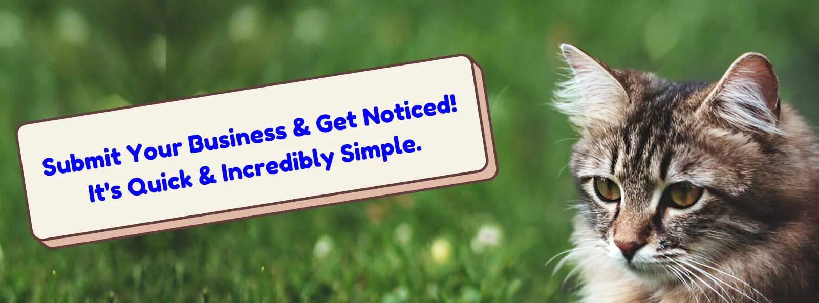 Pet Industry Visual Advertisement Portal gallery image