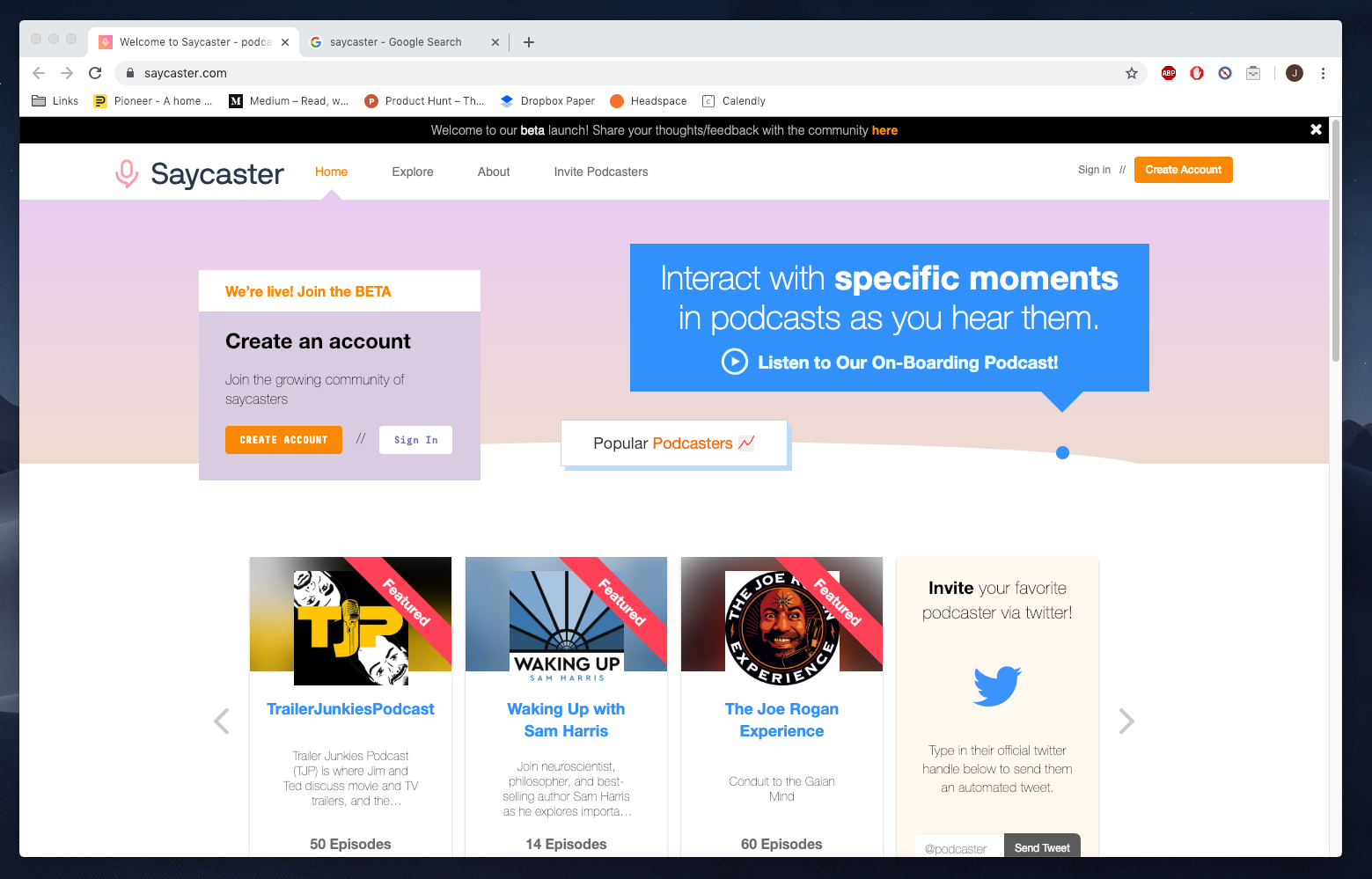 Saycaster gallery image