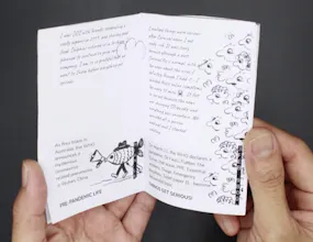 Time Capsule gallery image