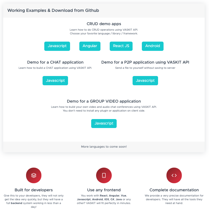 Vaskit gallery image