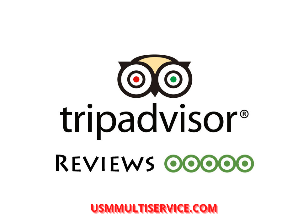 Buy TripAdvisor Review